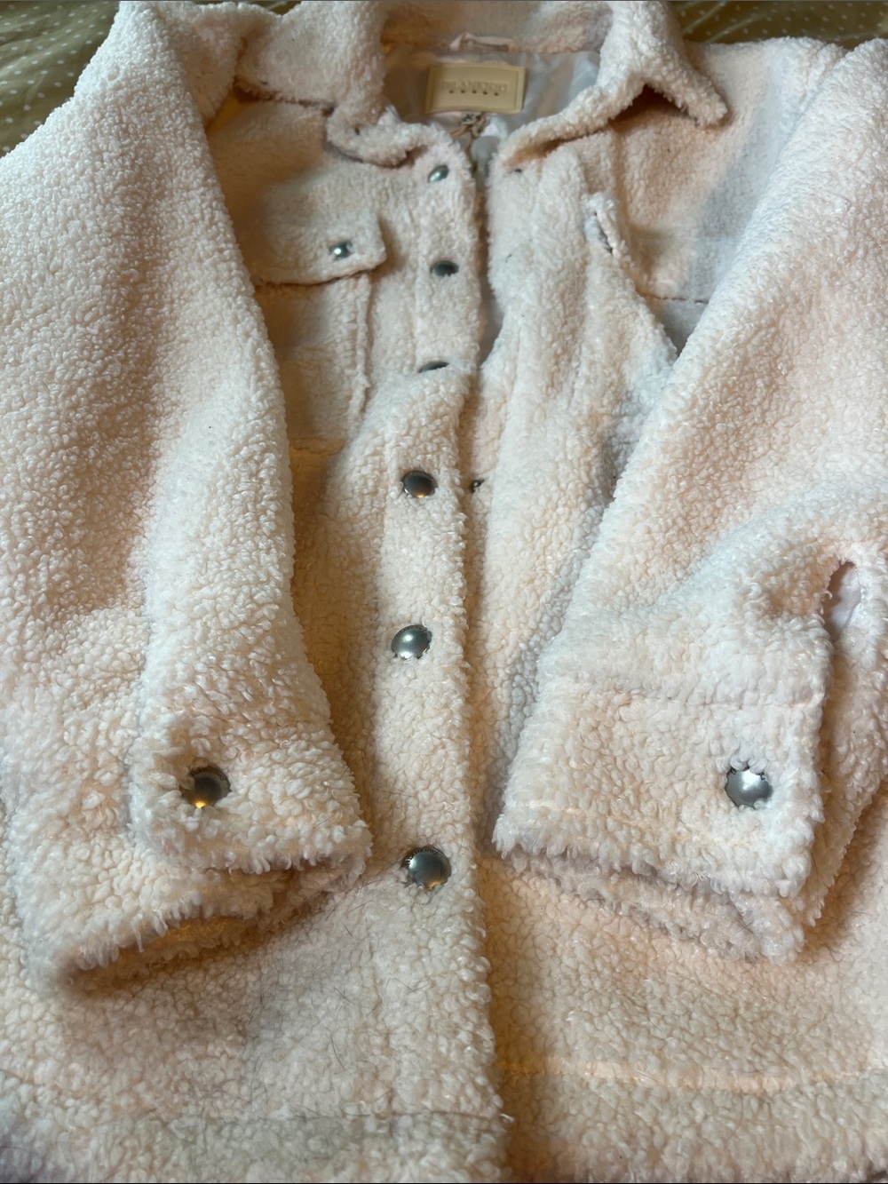 Plush Button-Front Jacket - Cream - Picture 4 of 5